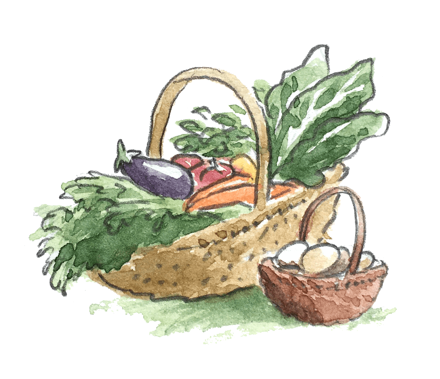 Alimentation positive