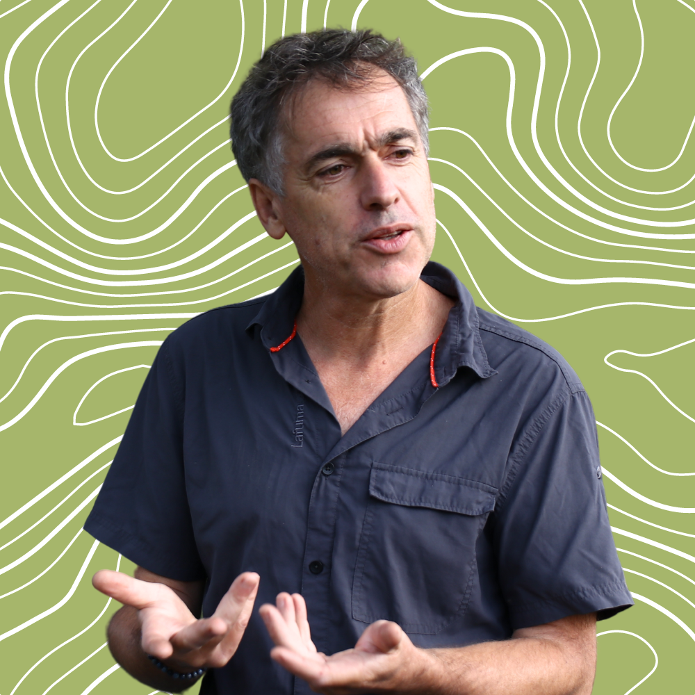 Pierre Feltz Les Épigées