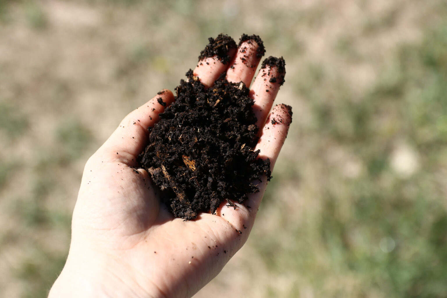 Pourquoi composter ? Les Épigées