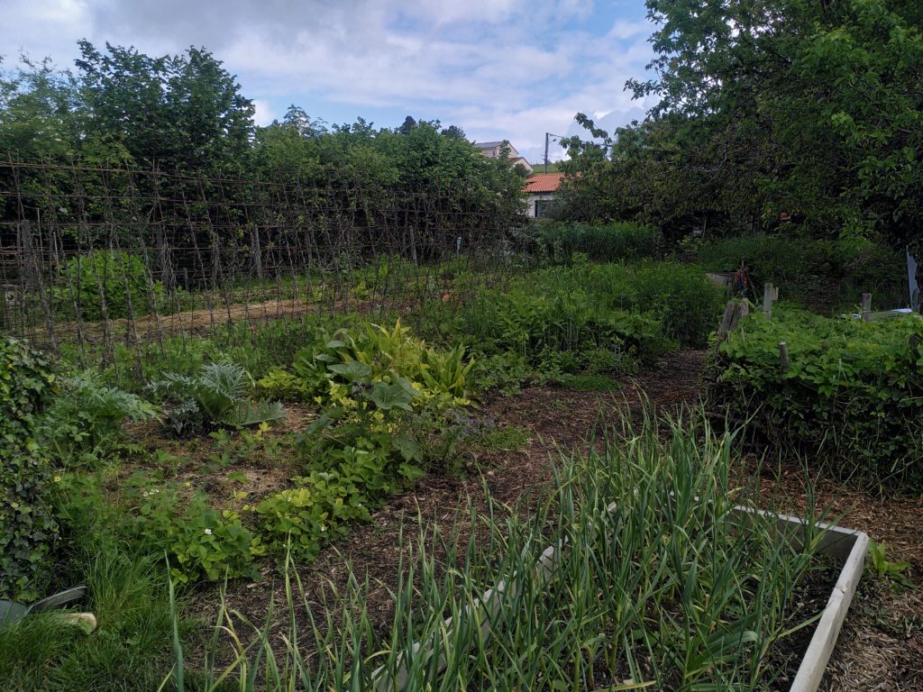 Compost au jardin