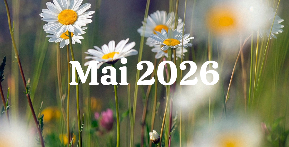 Newsletter Mai 2026