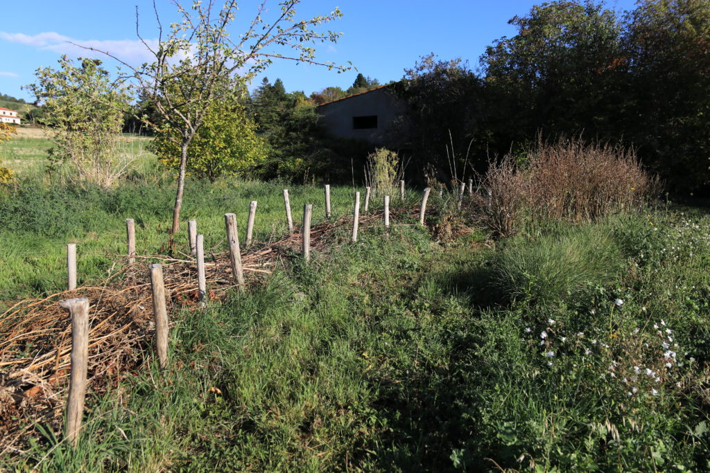 Haie s&egrave;che au jardin d'Yronde et Buron
